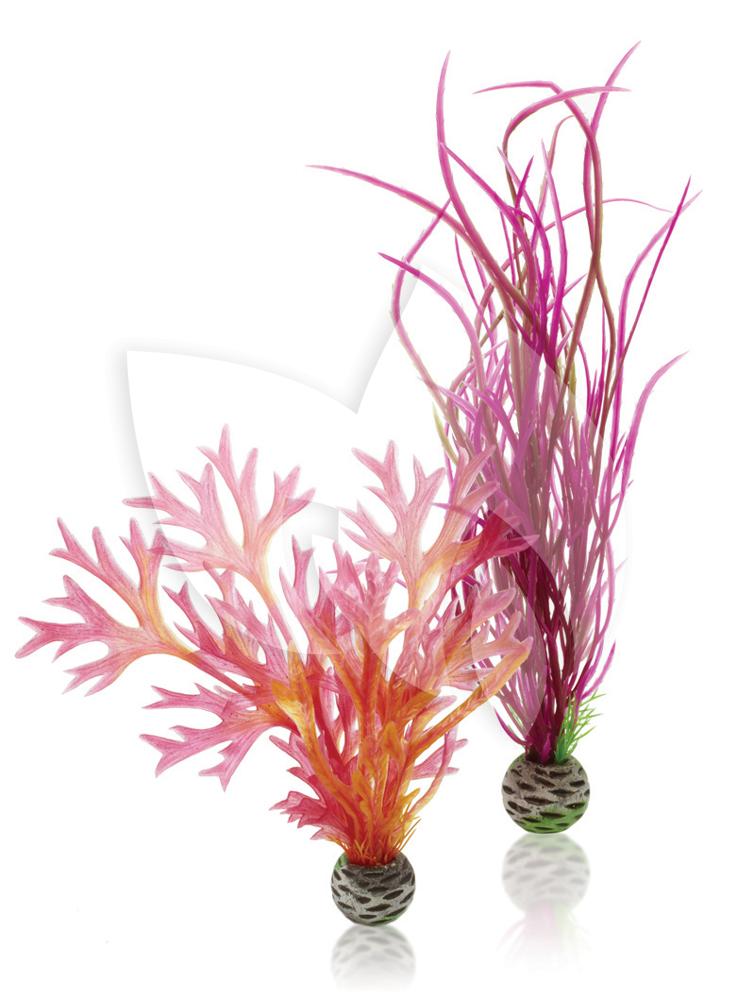 BiOrb ornament koraalrif roze aquarium decoratie