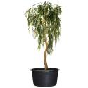 JP planten container H 31 x Ø 40.5 cm - 30 liter