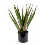 Kunstplant Aloe vera M