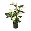 Kunstplant Anthurium cream