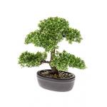 Kunstplant Bonsai ficus mini M