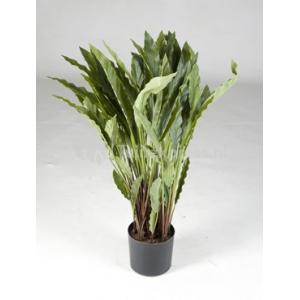 Kunstplant Calathea rufibarba wavestar M