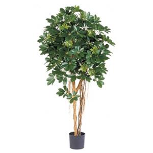 Kunstplant Schefflera arboricola XL