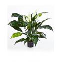 Kunstplant Spathiphyllum L