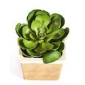 Kunstplant Succulent M