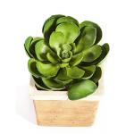 Kunstplant Succulent M