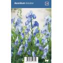 Monnikskap (aconitum bicolor) schaduwplant