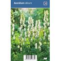 Monnikskap (aconitum album) schaduwplant