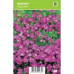 Randjesbloem (aubrieta "Royal Red") voorjaarsbloeier