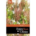 Rotsheide (Pieris Japonica &ldquo;Bonfire&rdquo;) heester