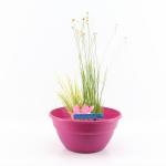 Mini vijver kunststof roze