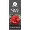 Grootbloemige roos (rosa "Cygne Noir")