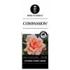 Klimroos (rosa "Compassion"®)