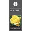Trosroos (rosa "Goldbeet") 