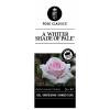 Grootbloemige roos (rosa "A Whiter Shade of Pale"®)
