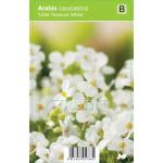 Rijstebrij (arabis little treasure "White") voorjaarsbloeier