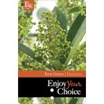 Skimmia (Skimmia Japonica &ldquo;Kew Green&rdquo;) heester