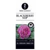 Grootbloemige roos (rosa "Blackberry Nip"®)