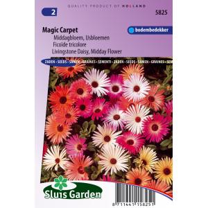 Ijsbloemen bloemzaden – Magic Carpet