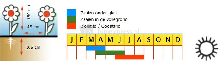 Ridderspoor hoog meerjarig bloemzaden - Round Table Series Mix