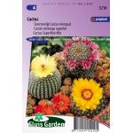 Soortenrijk Cactus mengsel bloemzaden - Cactus