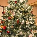De juiste verzorging van de kerstboom