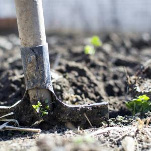 Hoe bereid ik mijn moestuin voor?