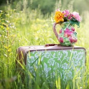 Welke algemene tuintips zijn er voor augustus?